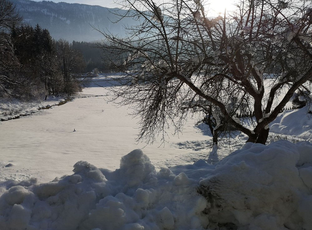 Stilvolles Wohnen im Gailtal Winterlandschaft