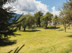 isepp-immobilienservice-objekt-reisach-8